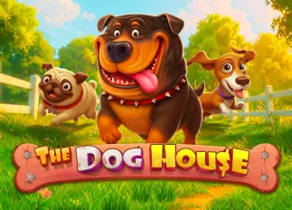 The Dog House TIMEZONE168